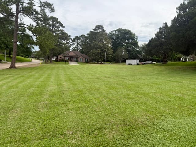 Large estate lawn with fresh mowing stripes under mature trees