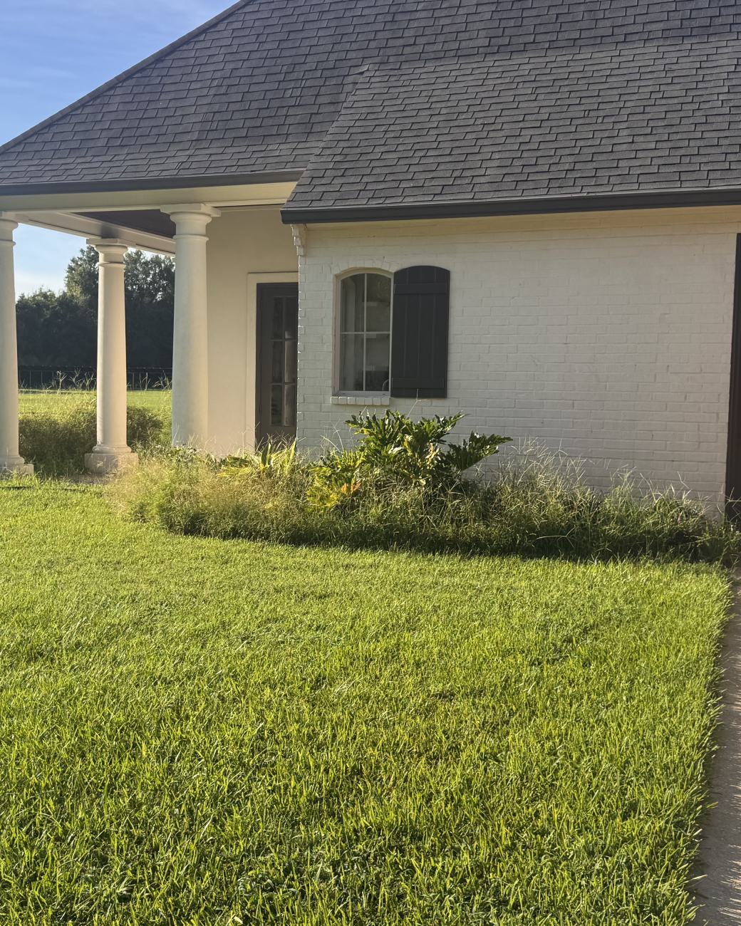 Weeds crowding the columns and creeping over the walkway at a home's side entry